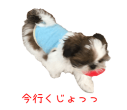 chibiyuta sticker sticker #14423460