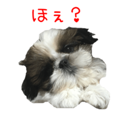 chibiyuta sticker sticker #14423463