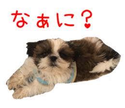 chibiyuta sticker sticker #14423464