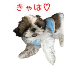 chibiyuta sticker sticker #14423465