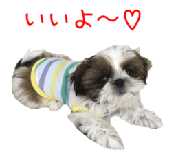 chibiyuta sticker sticker #14423466