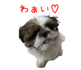 chibiyuta sticker sticker #14423467