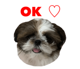 chibiyuta sticker sticker #14423468