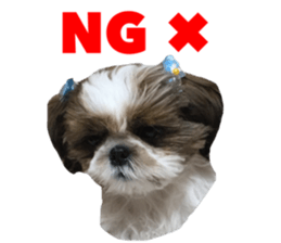 chibiyuta sticker sticker #14423469