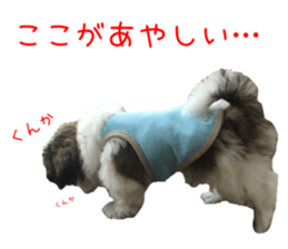 chibiyuta sticker sticker #14423470