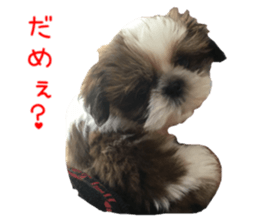 chibiyuta sticker sticker #14423471