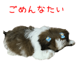 chibiyuta sticker sticker #14423472