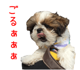 chibiyuta sticker sticker #14423473