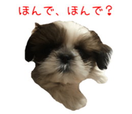 chibiyuta sticker sticker #14423476