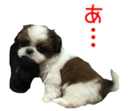 chibiyuta sticker sticker #14423477