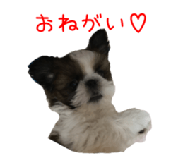 chibiyuta sticker sticker #14423478