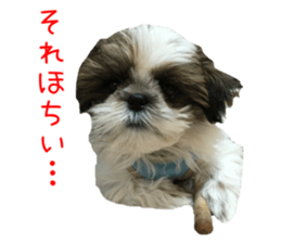 chibiyuta sticker sticker #14423479