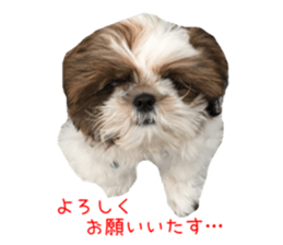 chibiyuta sticker sticker #14423480