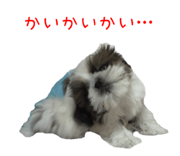 chibiyuta sticker sticker #14423483