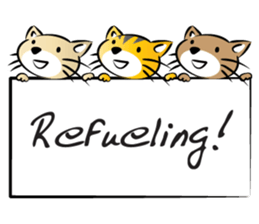 round face cat sticker #14423901