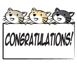 round face cat sticker #14423903