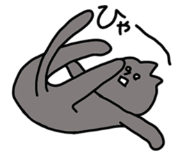 Black cat - white cat sticker #14424126