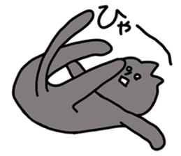 Black cat - white cat sticker #14424126