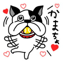 funny frenchi bulldog sticker sticker #14426787