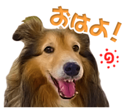 Ayumu-chan and Raimu-chan sticker #14426814