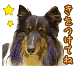 Ayumu-chan and Raimu-chan sticker #14426817