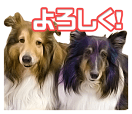 Ayumu-chan and Raimu-chan sticker #14426818