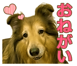 Ayumu-chan and Raimu-chan sticker #14426819