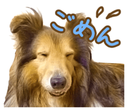 Ayumu-chan and Raimu-chan sticker #14426820