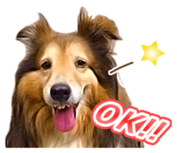 Ayumu-chan and Raimu-chan sticker #14426821