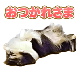 Ayumu-chan and Raimu-chan sticker #14426822