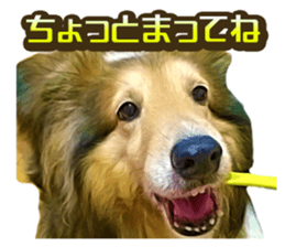 Ayumu-chan and Raimu-chan sticker #14426823