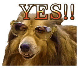 Ayumu-chan and Raimu-chan sticker #14426824