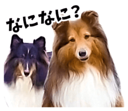 Ayumu-chan and Raimu-chan sticker #14426825