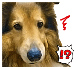 Ayumu-chan and Raimu-chan sticker #14426826