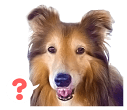 Ayumu-chan and Raimu-chan sticker #14426827