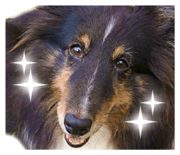 Ayumu-chan and Raimu-chan sticker #14426828