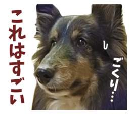 Ayumu-chan and Raimu-chan sticker #14426829