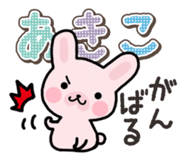 Ham-Usa for Akiko sticker #14427952