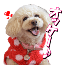 doggiesfan3 sticker #14430206