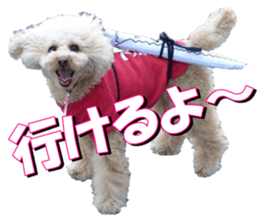 doggiesfan3 sticker #14430210