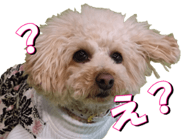 doggiesfan3 sticker #14430212