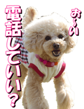 doggiesfan3 sticker #14430216