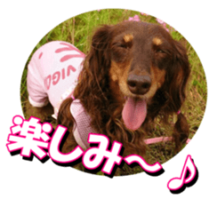 doggiesfan3 sticker #14430217