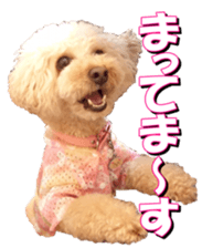 doggiesfan3 sticker #14430220