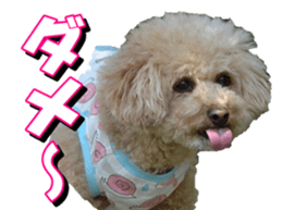 doggiesfan3 sticker #14430224