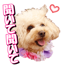 doggiesfan3 sticker #14430230