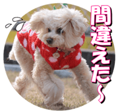 doggiesfan3 sticker #14430232