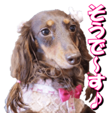 doggiesfan3 sticker #14430233