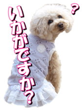 doggiesfan3 sticker #14430234