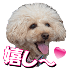 doggiesfan3 sticker #14430238